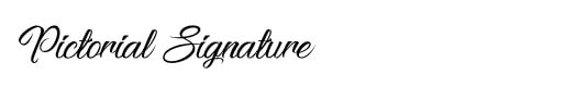 Pictorial Signature Calligraphy Logo Design Service USA