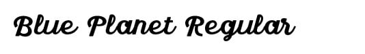 Blue Planet Regular Symmetry Logo Design Service Company