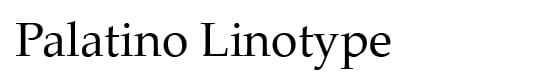 Palatino Linotype Fonts Style