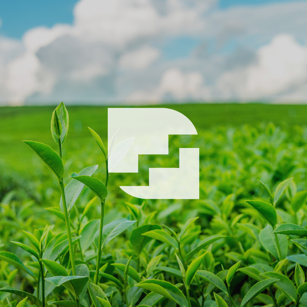 Growth Logo-01